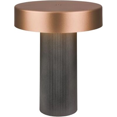 Briloner Lampara de mesa sin cable, control táctil regulable, función memoria, ip44, cable usb-c, lampara mesita noche sin cable, mesa LED recargable, 16 x 20 cm, antracita bronce metálico Briloner Lampara de mesa sin cable, control táctil regulable, función memoria, ip44, cable usb-c, lampara mesita noche sin cable, mesa LED recargable, 16 x 20 cm, antracita bronce metálico
