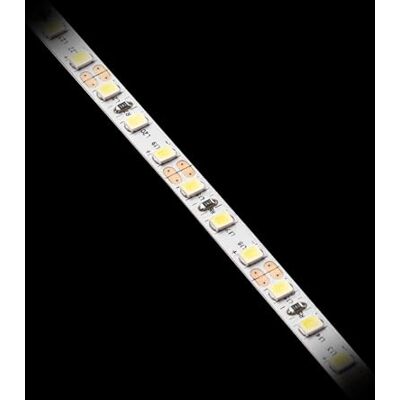 GTV Tira LED 5m Rollo Flash 2835, 600 LEDs 120/m, Regulable, 10W/m, 12V DC, 5mm de Ancho, cortable cada 5cm, Banda de Luz Muebles Cocina, Blanco Neutro 4000K GTV Tira LED 5m Rollo Flash 2835, 600 LEDs 120/m, Regulable, 10W/m, 12V DC, 5mm de Ancho, cortable cada 5cm, Banda de Luz Muebles Cocina, Blanco Neutro 4000K
