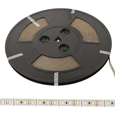 Blaupunkt Tira de LED 25m – Tira de Luz para Momentos Especiales – Blanco Frío 6500K – 1050 Lúmenes – 120 LED de/Medidor – Ideal como Iluminación de Salón, Cocina, Habitación, Pasillo Blaupunkt Tira de LED 25m – Tira de Luz para Momentos Especiales – Blanco Frío 6500K – 1050 Lúmenes – 120 LED de/Medidor – Ideal como Iluminación de Salón, Cocina, Habitación, Pasillo