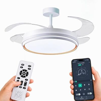 BEL AIR HOME Ventilador de techo OSAKA motor DC con APP, Oro OSAKA BEL AIR HOME Ventilador de techo OSAKA motor DC con APP, Oro OSAKA