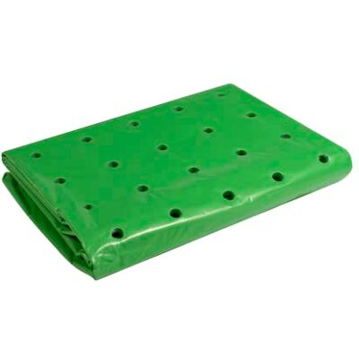 Windhager Película de Cultivo Fuerte para Todo el año, película para Plantas, Verde, 37 µm, 10 x 1,5 m Windhager Película de Cultivo Fuerte para Todo el año, película para Plantas, Verde, 37 µm, 10 x 1,5 m