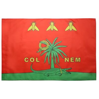 AZ FLAG Bandera de la Ciudad DE Nimes COLNEM 90x60cm para Palo Bandera Romana con COCODRILO NIMEÑO 60 x 90 cm AZ FLAG Bandera de la Ciudad DE Nimes COLNEM 90x60cm para Palo Bandera Romana con COCODRILO NIMEÑO 60 x 90 cm