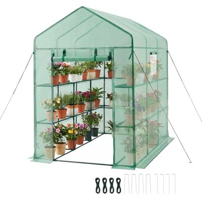 VEVOR Invernadero de Exterior 137 x 206 x 196 cm, Invernadero de Jardín con Puerta Enrollable y 2 Ventanas, Estantes de 3 Niveles, Cubierta de PE, Vivero Casero para Plantas Verduras Flores, Verde VEVOR Invernadero de Exterior 137 x 206 x 196 cm, Invernadero de Jardín con Puerta Enrollable y 2 Ventanas, Estantes de 3 Niveles, Cubierta de PE, Vivero Casero para Plantas Verduras Flores, Verde