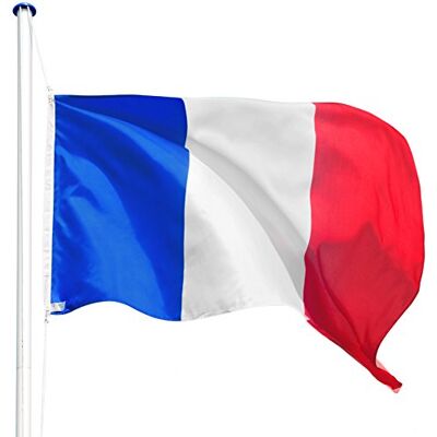 tectake ® Mástil Bandera Altura Ajustable, Mástil Aluminio Altura Máx 6,25 m, Asta Bandera con Casquillo para Suelo, Mástil Bandera Exterior con Cuerda de Izado, Montaje Rápido, Incl. Bandera Francia tectake ® Mástil Bandera Altura Ajustable, Mástil Aluminio Altura Máx 6,25 m, Asta Bandera con Casquillo para Suelo, Mástil Bandera Exterior con Cuerda de Izado, Montaje Rápido, Incl. Bandera Francia