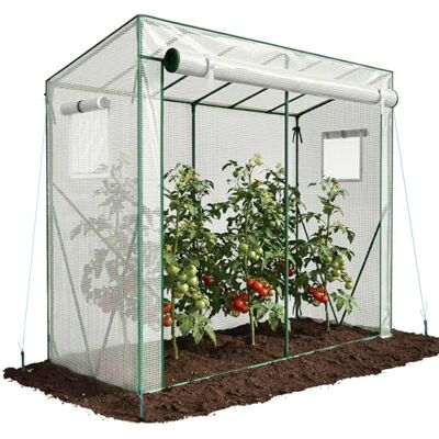 VOUNOT ® Invernadero para Tomates 200x77x170 cm, Túnel de Cultivo con Techo Inclinado, Gran Puerta y 2 Ventanas, Cubierta PE Reforzada 135g/m², para Plantas Verduras Flores, Blanco VOUNOT ® Invernadero para Tomates 200x77x170 cm, Túnel de Cultivo con Techo Inclinado, Gran Puerta y 2 Ventanas, Cubierta PE Reforzada 135g/m², para Plantas Verduras Flores, Blanco