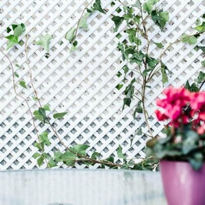 CATRAL Nortene Celosía Fija Pvc Blanca 18 mm Decorativa 0,6X1,15 M Ideal Para La Decoración De Exteriores, Color Blanco, Fácil Instalación En Terraza, Balcón Y Jardín, Resistente Y Duradero CATRAL Nortene Celosía Fija Pvc Blanca 18 mm Decorativa 0,6X1,15 M Ideal Para La Decoración De Exteriores, Color Blanco, Fácil Instalación En Terraza, Balcón Y Jardín, Resistente Y Duradero