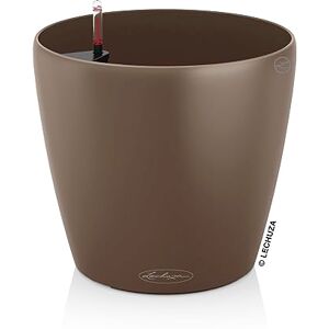 Lechuza Classico Color 21 Nuez moscada Lechuza Classico Color 21 Nuez moscada