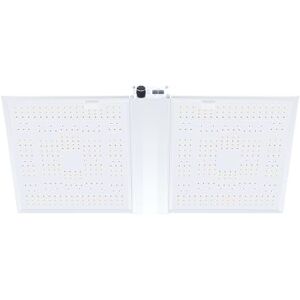 MADAME GROW NANOLUX LED Cultivo Interior Modelo RG Series Grow Light Led Cultivo Interior, Luz Crecimiento Plantas, Focos LED Cultivo Interior, Luz para Plantas Interior, Led Grow Spectrum/ UV/ IR (320) MADAME GROW NANOLUX LED Cultivo Interior Modelo RG Series Grow Light Led Cultivo Interior, Luz Crecimiento Plantas, Focos LED Cultivo Interior, Luz para Plantas Interior, Led Grow Spectrum/ UV/ IR (320)