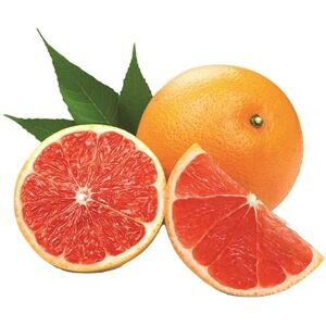 DECOALIVE Citrus Paradisi Natural Árbol Frutal del Pomelo para Amantes de la Jardinería DECOALIVE Citrus Paradisi Natural Árbol Frutal del Pomelo para Amantes de la Jardinería