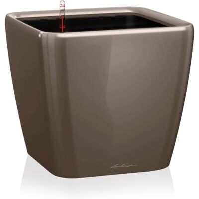 Lechuza Quadro Premium LS 50 Gris Pardo Brillante Lechuza Quadro Premium LS 50 Gris Pardo Brillante