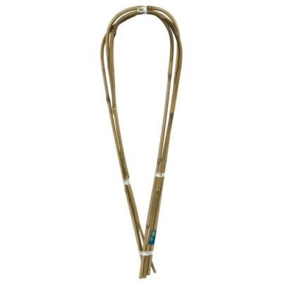 Nortene Tutor Arc Bamboo Resistente para Plantas y Huerto 90 CM Tutor Arco Bambú , Soporte Firme Para Plantas Y Tomateras, Resistente Y Duradero Para Uso Exterior Continuado Nortene Tutor Arc Bamboo Resistente para Plantas y Huerto 90 CM Tutor Arco Bambú , Soporte Firme Para Plantas Y Tomateras, Resistente Y Duradero Para Uso Exterior Continuado