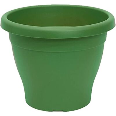 AC Meta Mediterránea Plástico Resistente Ideal para el Hogar, Plantas, Jardín, Decorión. Cuidado de Plantas Forma Redonda Ø 25 cm Color Verde AC Meta Mediterránea Plástico Resistente Ideal para el Hogar, Plantas, Jardín, Decorión. Cuidado de Plantas Forma Redonda Ø 25 cm Color Verde