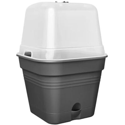 Elho Green Basics Growpot Square Allin 1 20cm Living Black Elho Green Basics Growpot Square Allin 1 20cm Living Black
