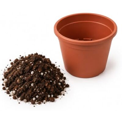 DECOALIVE Sustrato Universal para Macetas 5 litros Mezcla de Turbas, Fibra de Coco, Compost Vegetal, Perlita y Abono DECOALIVE Sustrato Universal para Macetas 5 litros Mezcla de Turbas, Fibra de Coco, Compost Vegetal, Perlita y Abono