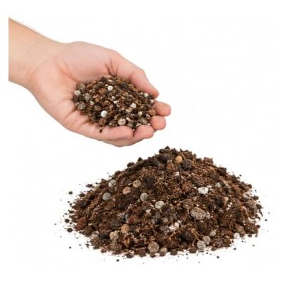 DECOALIVE Sustrato para Cactus 5 litros con Drenaje Mezcla con Arena, Puzolana, Perlita y Activador de Raíces DECOALIVE Sustrato para Cactus 5 litros con Drenaje Mezcla con Arena, Puzolana, Perlita y Activador de Raíces