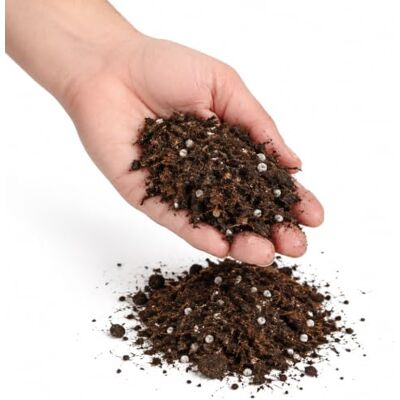 DECOALIVE Sustrato Universal Blumenerde 5 litros Mezcla con Fibra de Coco y Perlita para Plantar y Trasplantar DECOALIVE Sustrato Universal Blumenerde 5 litros Mezcla con Fibra de Coco y Perlita para Plantar y Trasplantar