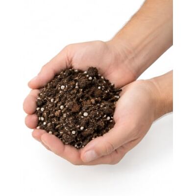 DECOALIVE Sustrato para Plantas con Flor Universal 5 litros Mezcla con Perlita para Plantar y Trasplantar en Interior y Exterior DECOALIVE Sustrato para Plantas con Flor Universal 5 litros Mezcla con Perlita para Plantar y Trasplantar en Interior y Exterior