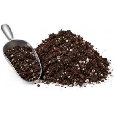 DECOALIVE Sustrato Universal 5 litros para Plantar Mezcla de Turbas, Fibra de Coco, Compost Vegetal, Perlita y Abono DECOALIVE Sustrato Universal 5 litros para Plantar Mezcla de Turbas, Fibra de Coco, Compost Vegetal, Perlita y Abono