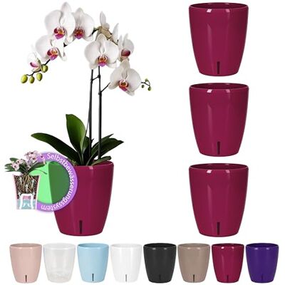 Santino Juego de 4 Macetas para Orquídeas Ø 15cm Macetas Autorriego con Sistema de Mecha e Indicador de Nivel de Agua para Interior (Ø 15cm 2L Morado) Santino Juego de 4 Macetas para Orquídeas Ø 15cm Macetas Autorriego con Sistema de Mecha e Indicador de Nivel de Agua para Interior (Ø 15cm 2L Morado)