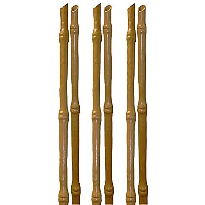TENAX Bamboo Up, Soporte para Plantas, Altura 120 cm, Color Natural, Diámetro 18 mm, 6 Unidades, Soporte Sintético para Plantas, Flores y Verduras, Aspecto Similar al Bambú Natural TENAX Bamboo Up, Soporte para Plantas, Altura 120 cm, Color Natural, Diámetro 18 mm, 6 Unidades, Soporte Sintético para Plantas, Flores y Verduras, Aspecto Similar al Bambú Natural