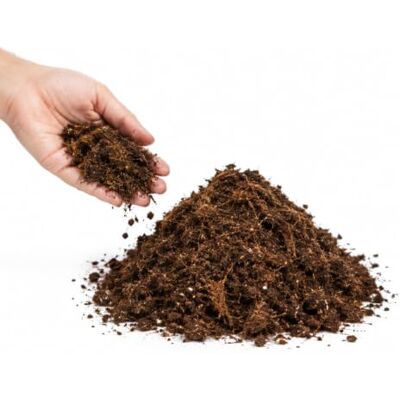 DECOALIVE Sustrato Plantas Ácidas para Camelias 5 litros pH Ácido y Turba Rubia para Plantas Acidófilas DECOALIVE Sustrato Plantas Ácidas para Camelias 5 litros pH Ácido y Turba Rubia para Plantas Acidófilas