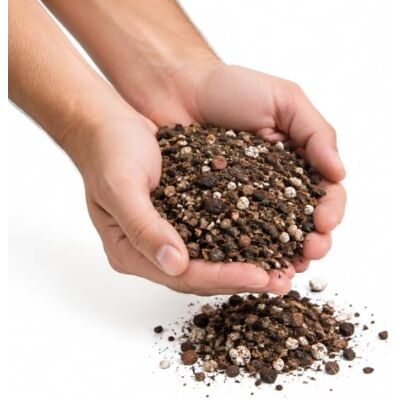 DECOALIVE Granulado para Cactus y Crasas 5 litros Para Plantación y Trasplante con Drenaje y Aireación DECOALIVE Granulado para Cactus y Crasas 5 litros Para Plantación y Trasplante con Drenaje y Aireación