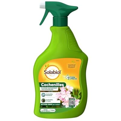 Solabiol Tratamiento de áfidos listo para usar Pulverizador 750ml Solución rápida Solabiol Tratamiento de áfidos listo para usar Pulverizador 750ml Solución rápida