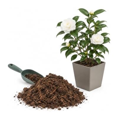 DECOALIVE Sustrato Plantas Ácidas para Cultivo 5 litros Composición con Turba Rubia, Fibra de Coco, Compost y Abono DECOALIVE Sustrato Plantas Ácidas para Cultivo 5 litros Composición con Turba Rubia, Fibra de Coco, Compost y Abono