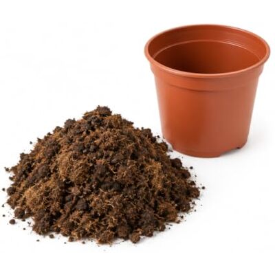 DECOALIVE Sustrato para Hortensias 5 litros Mezcla de Turbas, Fibra de Coco, Compost Vegetal y Abono DECOALIVE Sustrato para Hortensias 5 litros Mezcla de Turbas, Fibra de Coco, Compost Vegetal y Abono
