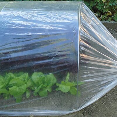 TENAX Dot Film 2,00x10 m Transparente, Film Microperforado Permeable para Hortalizas y para la Protección de los Cultivos TENAX Dot Film 2,00x10 m Transparente, Film Microperforado Permeable para Hortalizas y para la Protección de los Cultivos