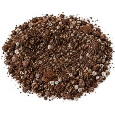 DECOALIVE Sustrato Mineral para Cactus y Crasas 5 litros Áridos y Piedras Volcánicas para Facilitar la Permeabilidad DECOALIVE Sustrato Mineral para Cactus y Crasas 5 litros Áridos y Piedras Volcánicas para Facilitar la Permeabilidad
