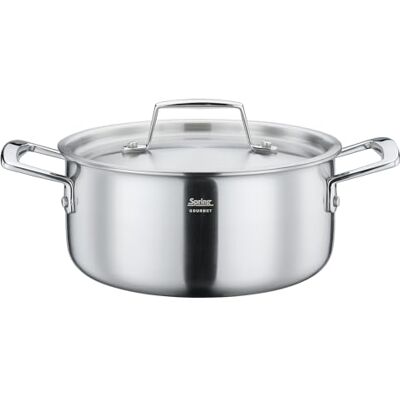 Spring GOURMET Olla con tapa de 20 cm de diámetro, 2,7 L, acero inoxidable, apta para inducción, horno y lavavajillas, material multicapa, núcleo de aluminio, olla para todo tipo de fuegos Spring GOURMET Olla con tapa de 20 cm de diámetro, 2,7 L, acero inoxidable, apta para inducción, horno y lavavajillas, material multicapa, núcleo de aluminio, olla para todo tipo de fuegos