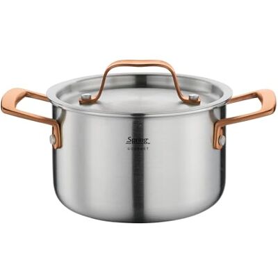 Spring Olla Gourmet de varias capas con tapa de acero inoxidable, apta para horno, con escala interior, diámetro 16 cm, altura 10 cm, 2 litros, oro rosa Spring Olla Gourmet de varias capas con tapa de acero inoxidable, apta para horno, con escala interior, diámetro 16 cm, altura 10 cm, 2 litros, oro rosa