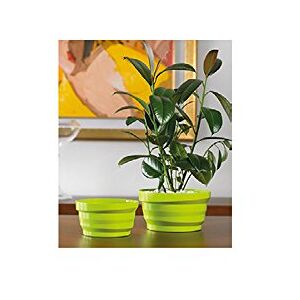 Euro3plast Euro 3 Cuenco de Plástico - Multiuso 25cm - Cuenco de Comida Euro3plast Euro 3 Cuenco de Plástico - Multiuso 25cm - Cuenco de Comida