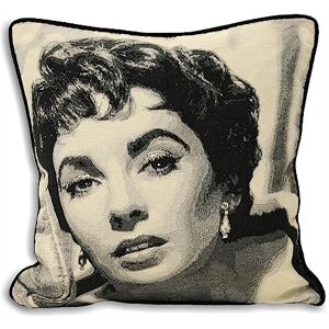 Riva Home Elizabeth Taylor Cojín Decorativo – Cojín Decorativo De Poliéster con Ribete Y Relleno De Poliéster (Negro, 45x45cm) Riva Home Elizabeth Taylor Cojín Decorativo – Cojín Decorativo De Poliéster con Ribete Y Relleno De Poliéster (Negro, 45x45cm)