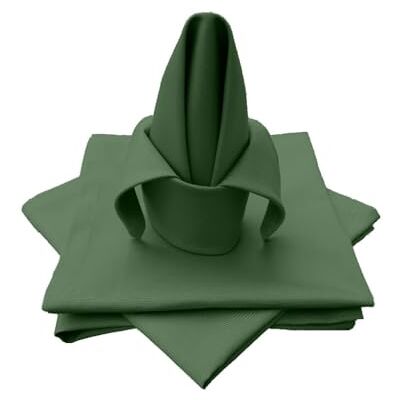 Lemos Home Servilletas de Tela, 4 Unidades, 100% algodón, colección Concepto, Color y tamaño a Elegir (Juego de 4 servilletas de Tela, 45 x 45 cm, Verde Oliva) Lemos Home Servilletas de Tela, 4 Unidades, 100% algodón, colección Concepto, Color y tamaño a Elegir (Juego de 4 servilletas de Tela, 45 x 45 cm, Verde Oliva)