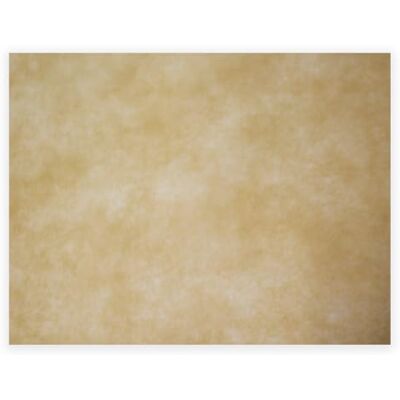 MORIGAMI Manteles Individuales 30x40 cm – Pack 500 Unidades, Polipropileno Resistente al Agua, Aptos para Contacto Alimentario, Mantel Individual para Hostelería, Restaurantes y Catering, Color Marfil MORIGAMI Manteles Individuales 30x40 cm – Pack 500 Unidades, Polipropileno Resistente al Agua, Aptos para Contacto Alimentario, Mantel Individual para Hostelería, Restaurantes y Catering, Color Marfil