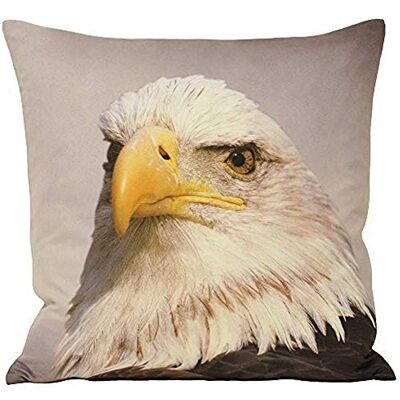 Paoletti Riva Águila Llenaron Cojín-Estampado De Anim-Gamuza Sintética Tela Oculta Cierre De Cremallera Lavable A Máquina-100 Caso (18" X 18" Pulgadas), Poliéster, Gris, 45 X 45 Cm, 45 x 45cm Paoletti Riva Águila Llenaron Cojín-Estampado De Anim-Gamuza Sintética Tela Oculta Cierre De Cremallera Lavable A Máquina-100 Caso (18" X 18" Pulgadas), Poliéster, Gris, 45 X 45 Cm, 45 x 45cm