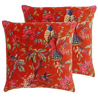 Paoletti Cojines llenos de Plumas paraíso (Paquete Doble), Orange, 50 x 50cm, 2 Paoletti Cojines llenos de Plumas paraíso (Paquete Doble), Orange, 50 x 50cm, 2