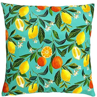 Evans Lichfield Orange Blossom Outdoor Polyester Filled Cushion, Polyester, Multi,43 x 43cm Evans Lichfield Orange Blossom Outdoor Polyester Filled Cushion, Polyester, Multi,43 x 43cm