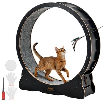VEVOR Rueda de Ejercicio de Madera, para Gatos de 8,6 a 12,7 kg, Diámetro Interior de 1080 mm, Cinta de Correr con Superficie Alfombrada y Mecanismo de Bloqueo, Color Negro, 1200 x 340 x 1275 mm VEVOR Rueda de Ejercicio de Madera, para Gatos de 8,6 a 12,7 kg, Diámetro Interior de 1080 mm, Cinta de Correr con Superficie Alfombrada y Mecanismo de Bloqueo, Color Negro, 1200 x 340 x 1275 mm