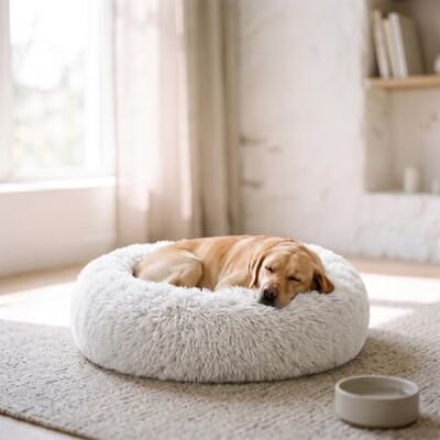 MB HOME BASIC Cama para mascotas - Forma redonda con bordes elevados - Tejido Oxford resistente al agua MB HOME BASIC Cama para mascotas - Forma redonda con bordes elevados - Tejido Oxford resistente al agua