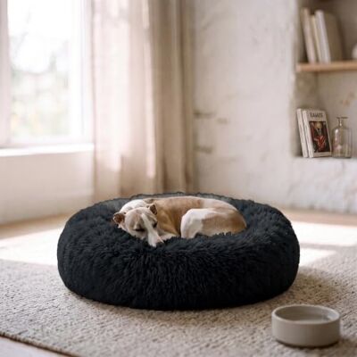 MB HOME BASIC Cama para perros - Dreams 60x60x26 cm Petróleo MB HOME BASIC Cama para perros - Dreams 60x60x26 cm Petróleo