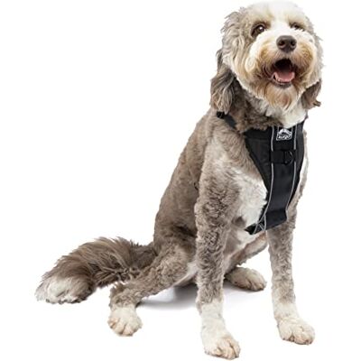 Correa para Perro Kurgo Tru-Fit Smart - Ajustable, Reflectante, Para Auto y Paseos Correa para Perro Kurgo Tru-Fit Smart - Ajustable, Reflectante, Para Auto y Paseos