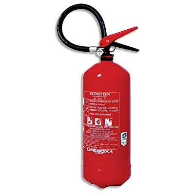 LIFEBOX Extintor de polvo 6 kg Jet 6 m, manómetro de presión, para incendios clases A B C, extintor de casa, oficina, coche, barco – Certificado CE 0029 & NF en 3, /PS6-HJ LIFEBOX Extintor de polvo 6 kg Jet 6 m, manómetro de presión, para incendios clases A B C, extintor de casa, oficina, coche, barco – Certificado CE 0029 & NF en 3, /PS6-HJ