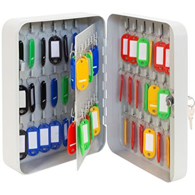 ARREGUI Armario de Llaves con Ganchos Fijos 90 Llaves Caja de Seguridad de Acero para Llaves con Llaveros Incluidos Fácil Instalación en Pared 30 x 24 x 8 cm Gris ARREGUI Armario de Llaves con Ganchos Fijos 90 Llaves Caja de Seguridad de Acero para Llaves con Llaveros Incluidos Fácil Instalación en Pared 30 x 24 x 8 cm Gris