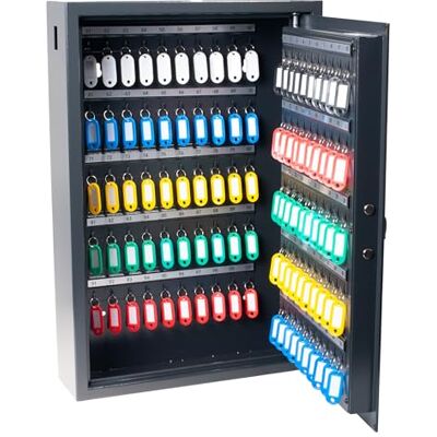 Pavo Armario de llaves de alta seguridad para 100 llaves/Caja fuerte para llaves/Dimensiones: 600 x 410 x 120 mm / Incluye 100 llaveros Pavo Armario de llaves de alta seguridad para 100 llaves/Caja fuerte para llaves/Dimensiones: 600 x 410 x 120 mm / Incluye 100 llaveros