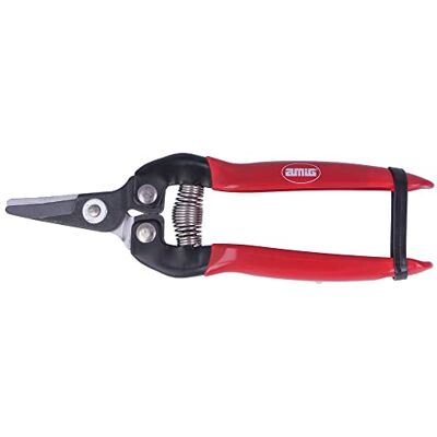 Amig Tijera de Poda a Una Mano Especial Recolección Hoja Recta de Acero 160 mm Mango antideslizante Punta Curva para Cortar Flores, Recolección de Fruta y Vendimia Amig Tijera de Poda a Una Mano Especial Recolección Hoja Recta de Acero 160 mm Mango antideslizante Punta Curva para Cortar Flores, Recolección de Fruta y Vendimia