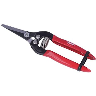 Amig Tijera de Poda a Una Mano Especial Recolección Hoja Recta de Acero 185 mm Mango antideslizante Punta Curva para Cortar Flores, Recolección de Fruta y Vendimia Amig Tijera de Poda a Una Mano Especial Recolección Hoja Recta de Acero 185 mm Mango antideslizante Punta Curva para Cortar Flores, Recolección de Fruta y Vendimia