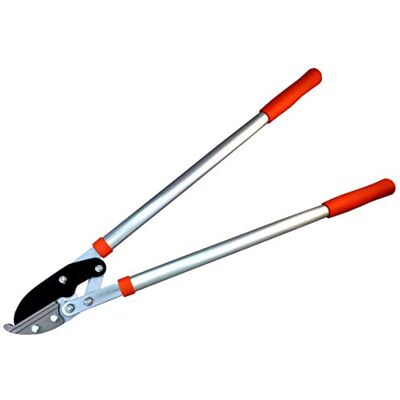 Riegolux Podadera 2 Manos - Pala de 750mm Riegolux Podadera 2 Manos - Pala de 750mm
